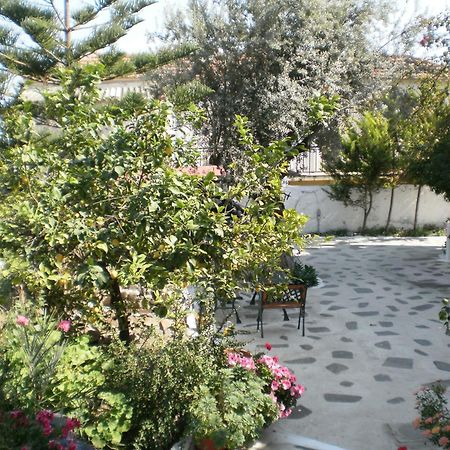 Appartement Sunrise Flora à Agia Marina  Extérieur photo