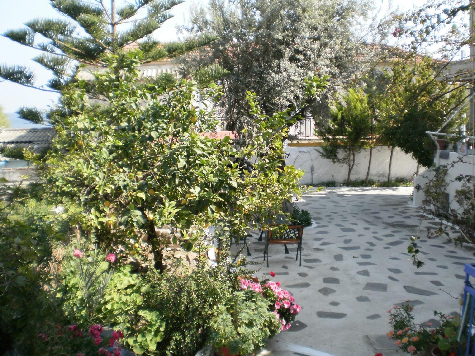 Appartement Sunrise Flora à Agia Marina  Extérieur photo