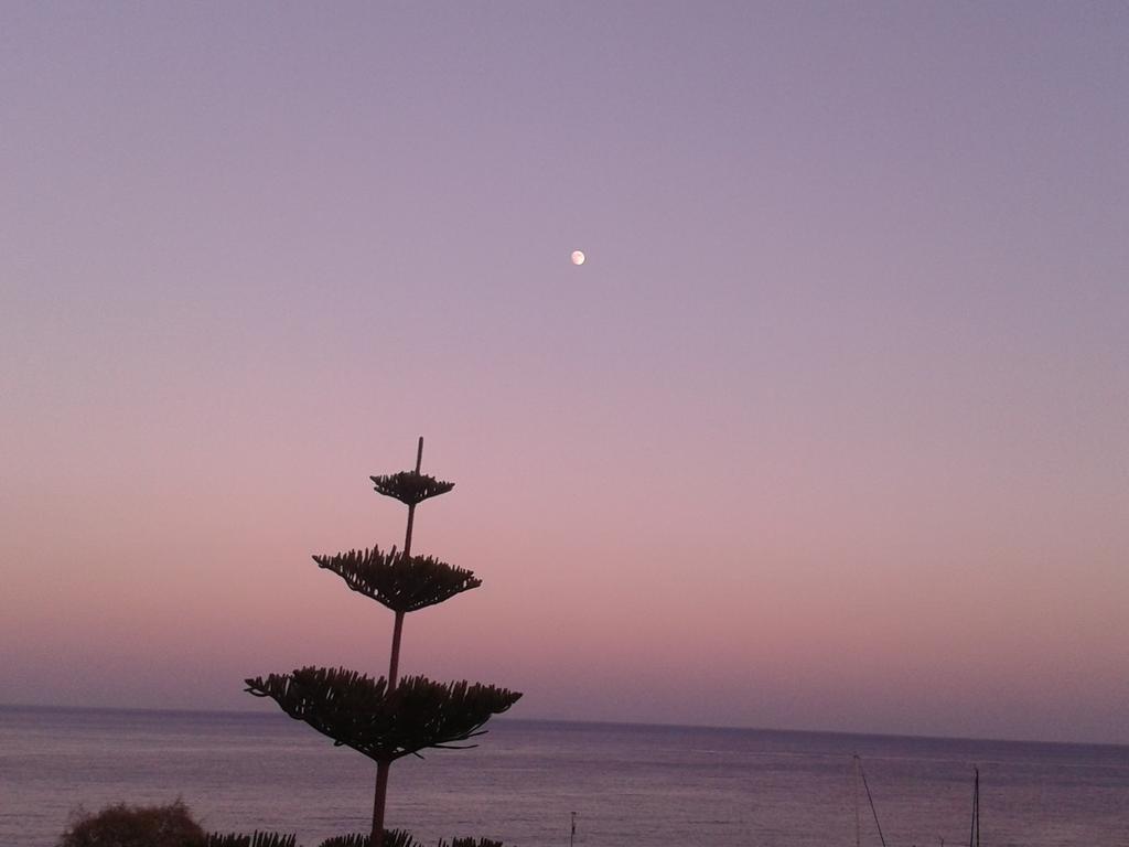Appartement Sunrise Flora à Agia Marina  Extérieur photo